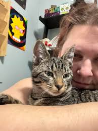<h2>Loved by Cat Owners, Everywhere. Don't Miss Out.</h2>