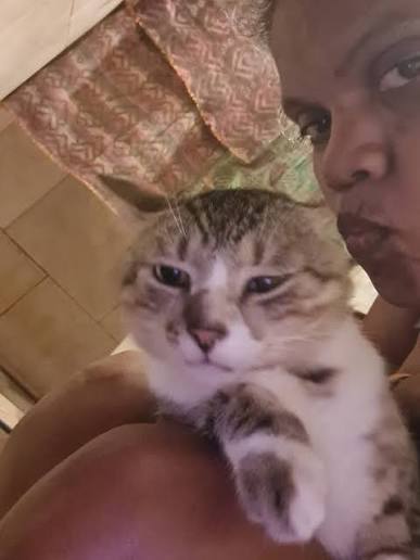 <h2>Loved by Cat Owners, Everywhere. Don't Miss Out.</h2>
