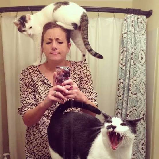 <h2>Loved by Cat Owners, Everywhere. Don't Miss Out.</h2>