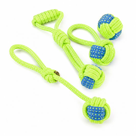 Pet Toys